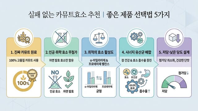 실패 없는 카뮤트효소 추천｜좋은 제품 선택법 5가지