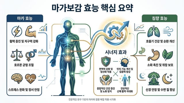 마가보감 효능 핵심 요약｜기력 보충과 침향의 실제 효과는?