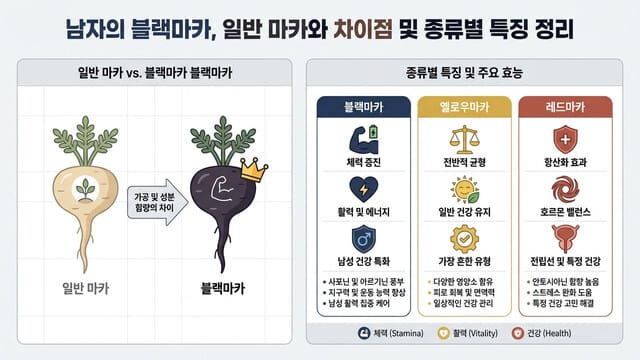 남자의 블랙마카, 일반 마카와 차이점 및 종류별 특징 정리