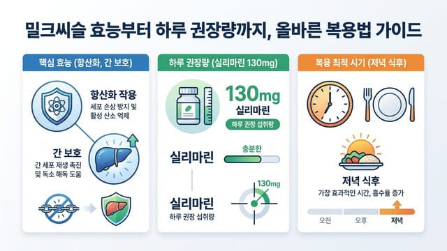 밀크씨슬 효능부터 하루 권장량까지, 올바른 복용법 가이드