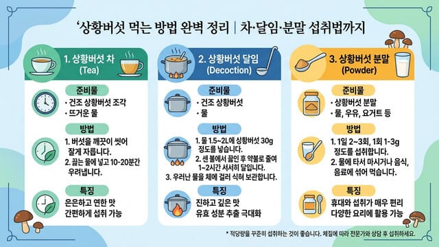 상황버섯 먹는 방법 완벽 정리｜차·달임·분말 섭취법까지
