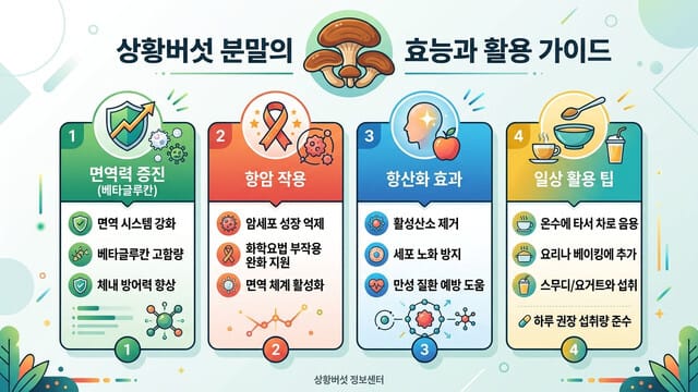 상황버섯 분말 효능 있을까? 섭취 효과와 활용법 분석