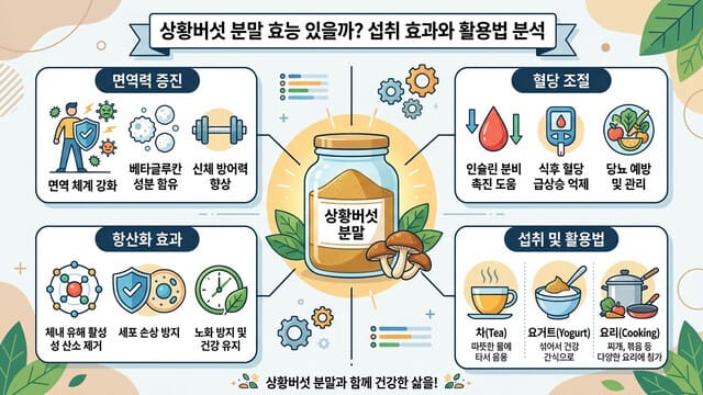 상황버섯 분말 효능 있을까? 섭취 효과와 활용법 분석