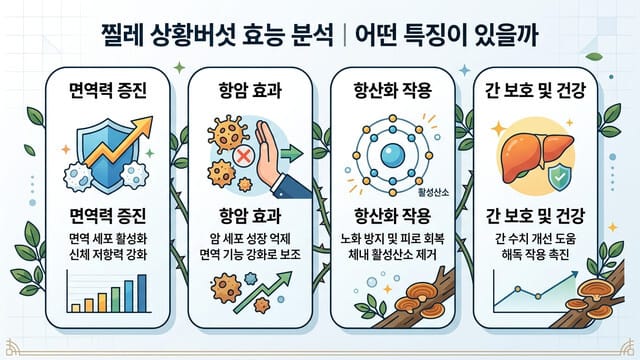 찔레 상황버섯 효능 분석|어떤 특징이 있을까
