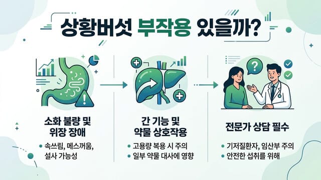 상황버섯 부작용 있을까? 복용 전 꼭 알아야 할 주의사항