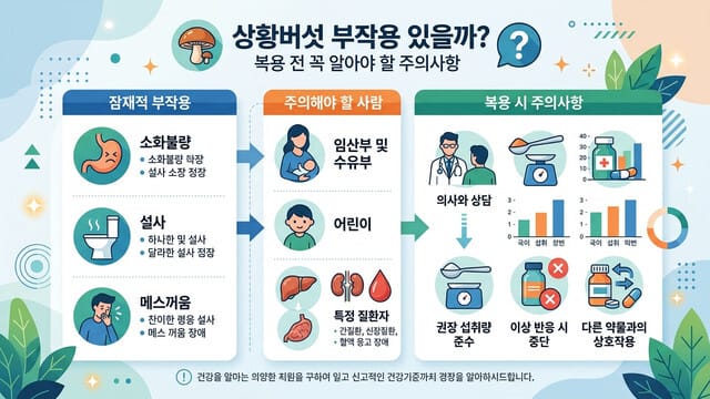 상황버섯 부작용 있을까? 복용 전 꼭 알아야 할 주의사항