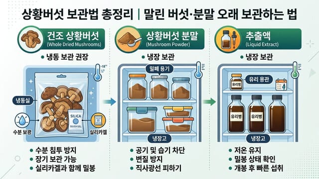 상황버섯 보관법 총정리|말린 버섯·분말 오래 보관하는 법