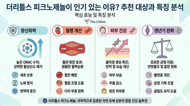 더리틀스 피크노제놀이 인기 있는 이유? 추천 대상과 특징 분석