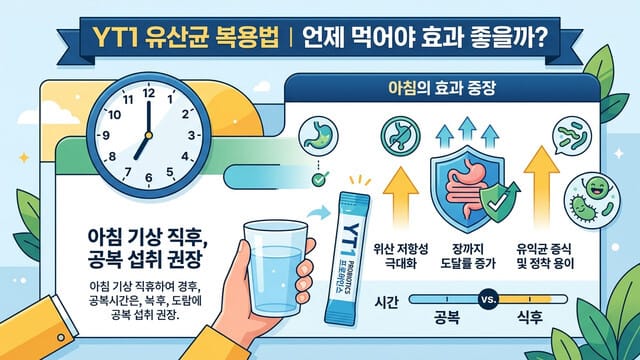 YT1 유산균 복용법|언제 먹어야 효과 좋을까?