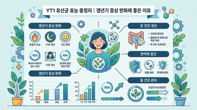 YT1 유산균 효능 총정리｜갱년기 증상 완화에 좋은 이유