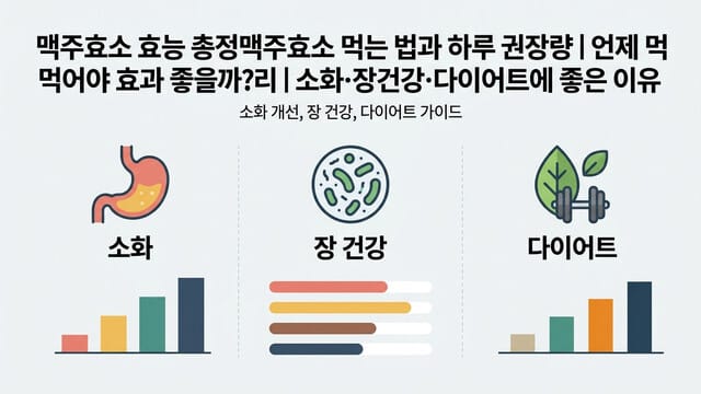 맥주효소 효능 총정맥주효소 먹는 법과 하루 권장량｜언제 먹어야 효과 좋을까?리｜소화·장건강·다이어트에 좋은 이유