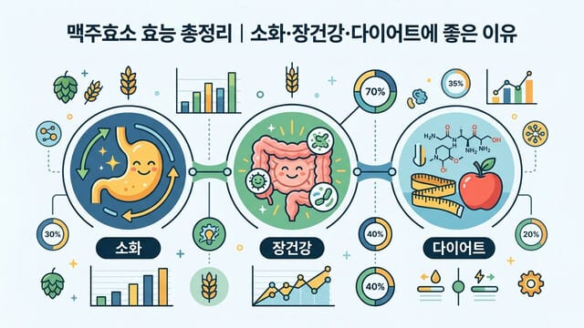 맥주효소 효능 총정리｜소화·장건강·다이어트에 좋은 이유