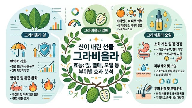 신이 내린 선물 그라비올라 효능: 잎, 열매, 오일 등 부위별 효과 분석