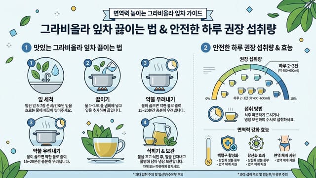 면역력 높이는 그라비올라 잎차 끓이는 법 및 안전한 하루 권장 섭취량