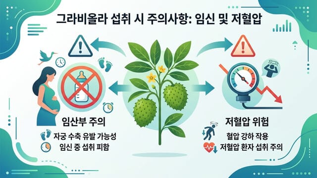 임산부 및 저혈압 환자 주의: 그라비올라 섭취 부작용 및 금기 대상