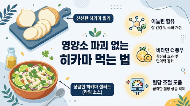 영양소 파괴 없는 히카마 먹는 법: 생식 및 요리 활용법 총정리