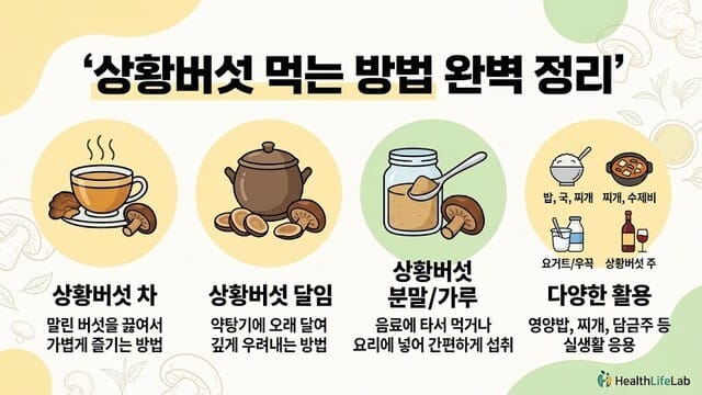 상황버섯 먹는 방법 완벽 정리｜차·달임·분말 섭취법까지