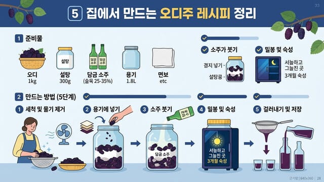 5️⃣ 오디주 담그는 법|집에서 만드는 오디주 레시피 정리