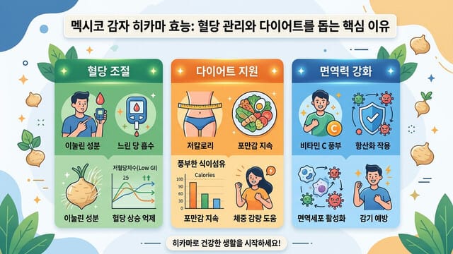 멕시코 감자 히카마 효능: 혈당 관리와 다이어트를 돕는 핵심 이유