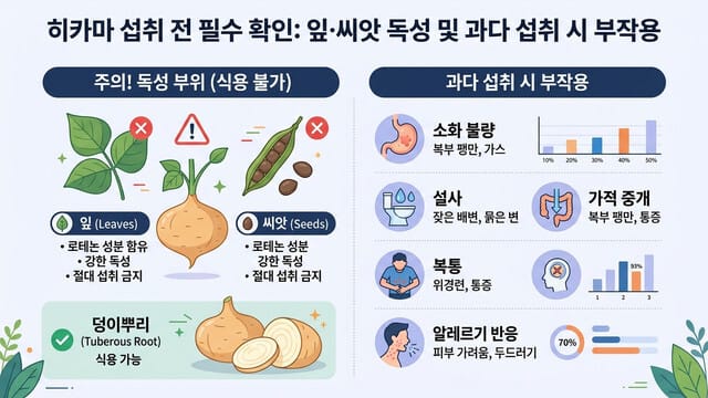 히카마 섭취 전 필수 확인: 잎·씨앗 독성 및 과다 섭취 시 부작용