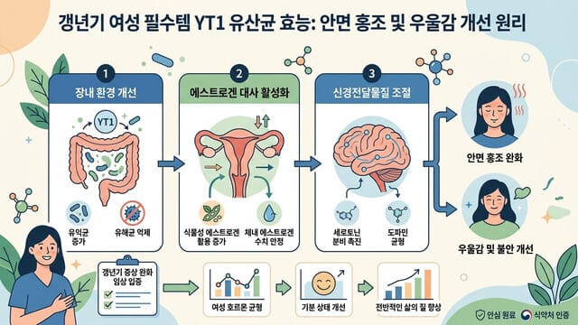 갱년기 여성 필수템 YT1 유산균 효능: 안면 홍조 및 우울감 개선 원리