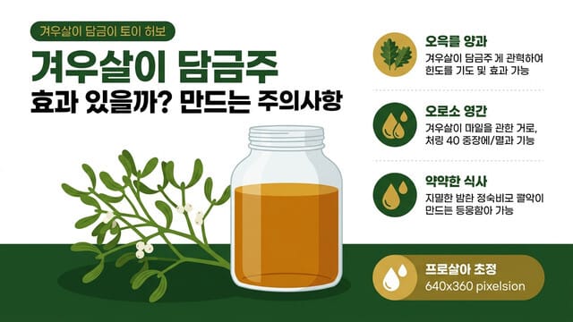 겨우살이 담금주 효과 있을까? 만드는 법과 주의사항