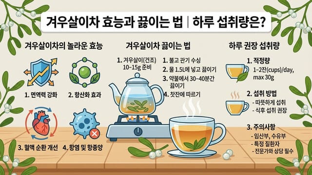 겨우살이차 효능과 끓이는 법｜하루 섭취량은?