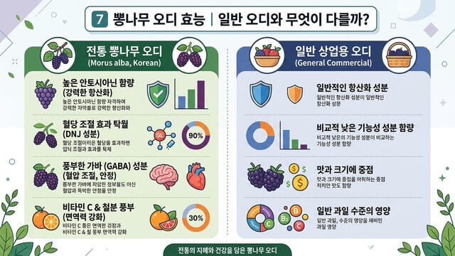 7️⃣ 뽕나무 오디 효능|일반 오디와 무엇이 다를까?