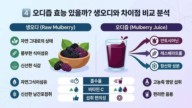 4️⃣ 오디즙 효능 있을까? 생오디와 차이점 비교 분석