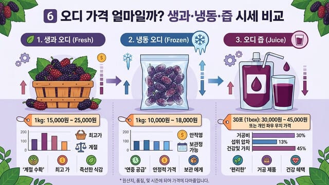 6️⃣ 오디 가격 얼마일까? 생과·냉동·즙 시세 비교