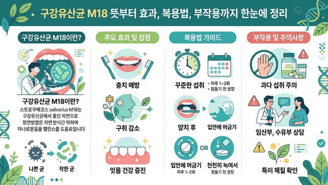 구강유산균 M18 뜻부터 효과, 복용법, 부작용까지 한눈에 정리