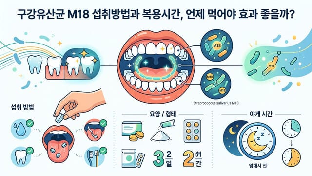구강유산균 M18 섭취방법과 복용시간, 언제 먹어야 효과 좋을까?