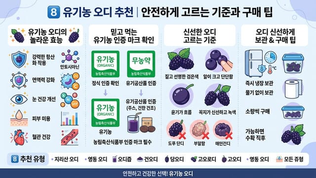 8️⃣ 유기농 오디 추천|안전하게 고르는 기준과 구매 팁