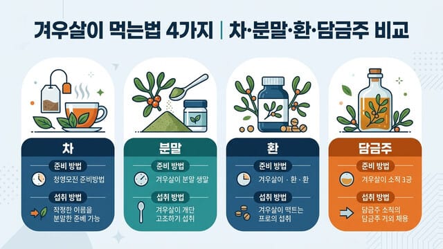 겨우살이 먹는법 4가지｜차·분말·환·담금주 비교