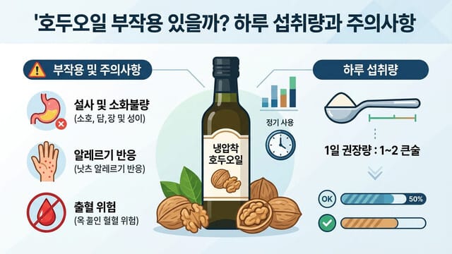 호두오일 부작용 있을까? 하루 섭취량과 주의사항