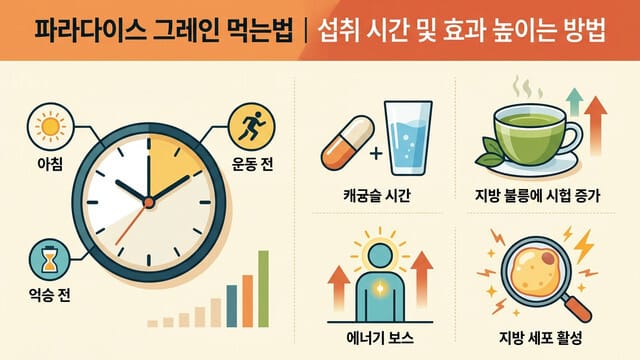 파라다이스 그레인 먹는법 | 섭취 시간 및 효과 높이는 방법