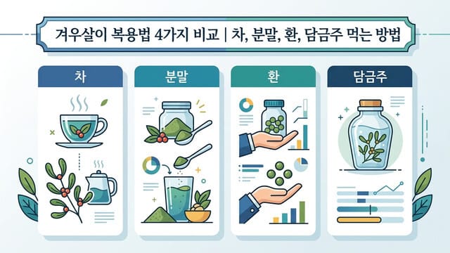 겨우살이 복용법 4가지 비교 | 차, 분말, 환, 담금주 먹는 방법