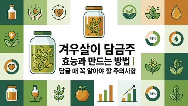 겨우살이 담금주 효능과 만드는 방법 | 담글 때 꼭 알아야 할 주의사항
