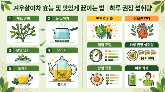 겨우살이차 효능 및 맛있게 끓이는 법 | 하루 권장 섭취량