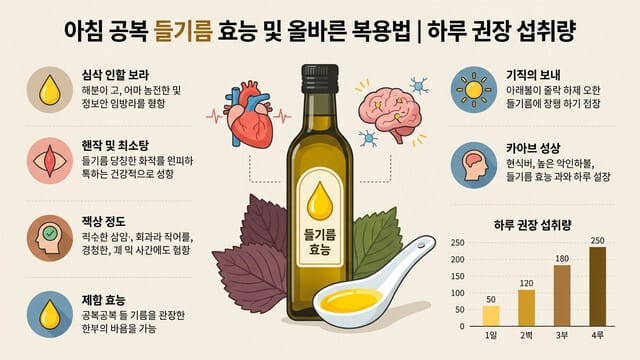 아침 공복 들기름 효능 및 올바른 복용법 | 하루 권장 섭취량