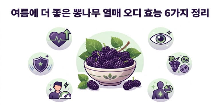 여름에 더 좋은 뽕나무 열매 오디 효능 6가지 정리