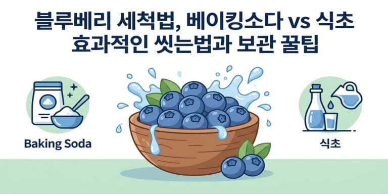 블루베리 세척법, 베이킹소다 vs 식초 효과적인 씻는법과 보관 꿀팁