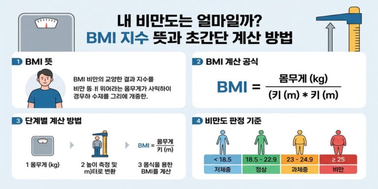 내 비만도는 얼마일까? BMI 지수 뜻과 초간단 계산 방법
