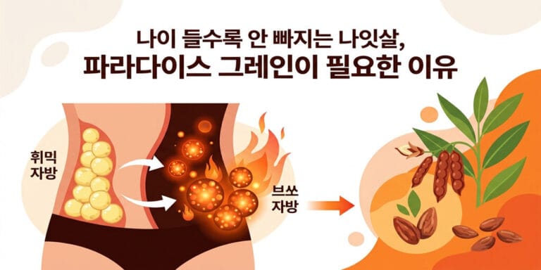 나이 들수록 안 빠지는 나잇살, 파라다이스 그레인이 필요한 이유