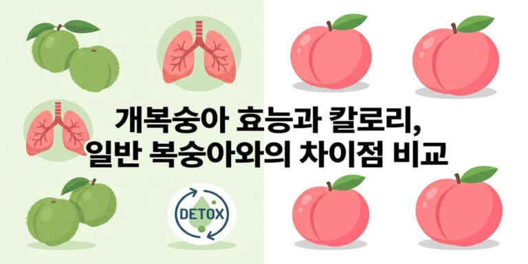 개복숭아 효능과 칼로리, 일반 복숭아와의 차이점 비교