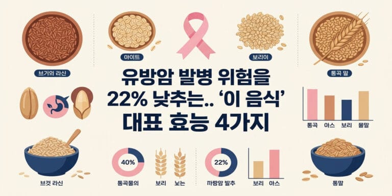 유방암 발병 위험을 22% 낮추는.. ‘이 음식’ 통곡물의 대표 효능 4가지