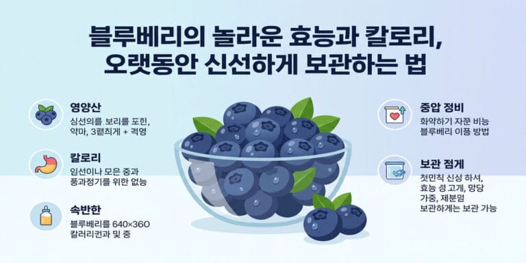 블루베리의 놀라운 효능과 칼로리, 오랫동안 신선하게 보관하는 법