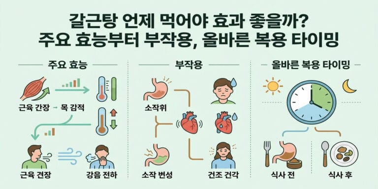 갈근탕 언제 먹어야 효과 좋을까? 주요 효능부터 부작용, 올바른 복용 타이밍