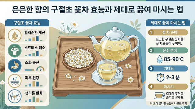 은은한 향의 구절초 꽃차 효능과 제대로 끓여 마시는 법