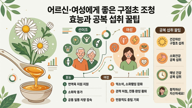 어르신·여성에게 좋은 구절초 조청 효능과 공복 섭취 꿀팁
